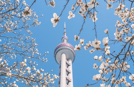 申观两会｜开局之年 大城何以再奋进