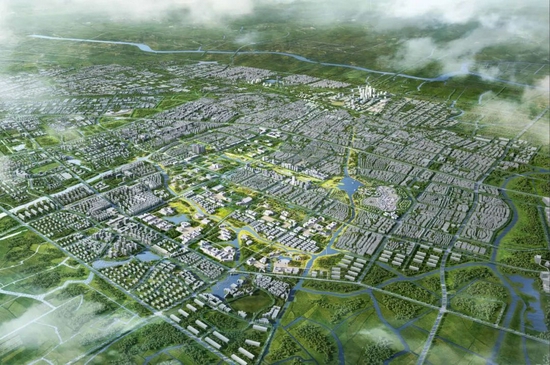 南汇新城世界顶尖科学家社区已完成控规批复五个新城建设最新成果公布