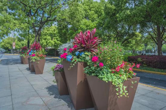 鲜花为笔 画出"五一"花瀑 浦东这些地标变"花境" 个个出片