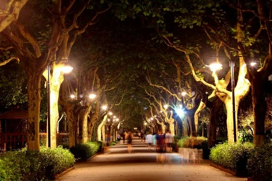 夜晚的世纪公园 你去打过卡吗_手机新浪网