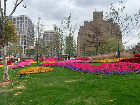 上海已完成绿道建设1093公里 赏景漫步健身还可以遛娃