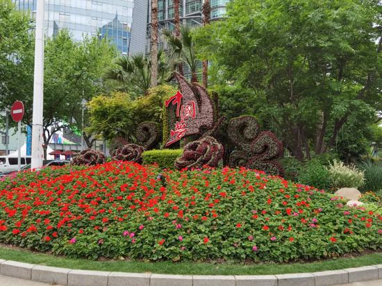 浦东南路花坛
