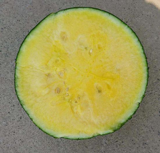 上海黑皮黄瓤瓜走红市价12元/斤 有望实现全年供应