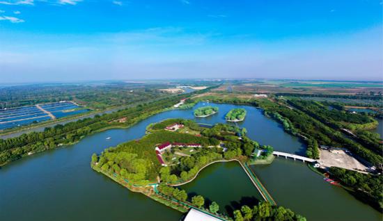 崇明区打造世界级生态岛 铺好生态底色建设宜居家园
