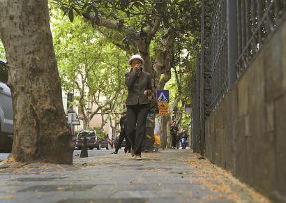 绍兴路上梧桐絮纷飞,市民遮掩口鼻.