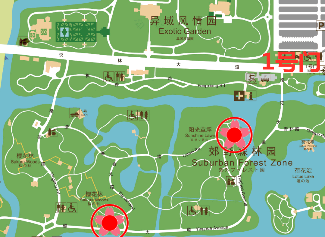 顾村公园地图高清图片