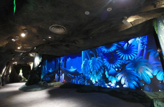 “雨林秘境”展区中的景象