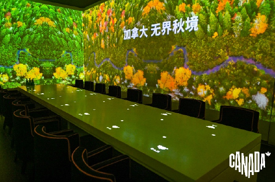 现场唯美的光影效果