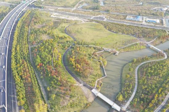 "森"呼吸 浦东这几块楔形绿地正在建设中