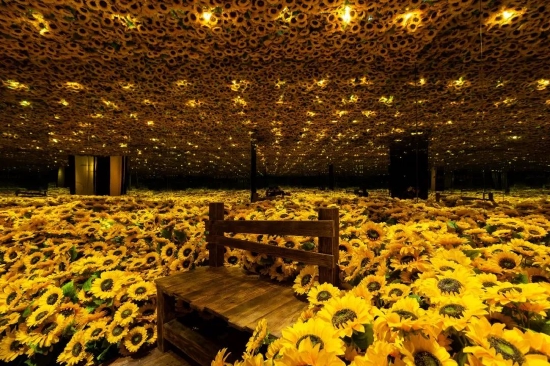 “梵高再现Van Gogh Alive“装置艺术：向日葵镜房