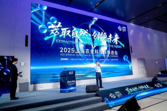 图为活动现场 主办方供图