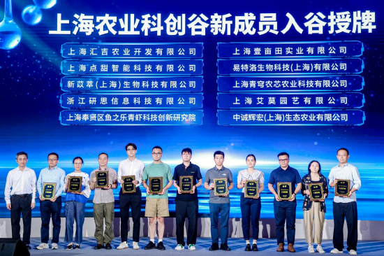 图为活动现场 主办方供图
