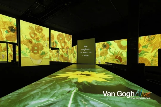 “梵高再现Van Gogh Alive”光影区