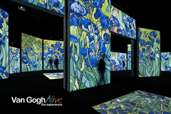“梵高再现Van Gogh Alive”光影区