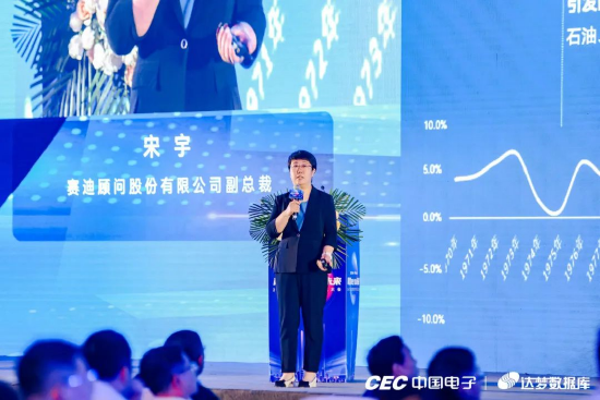 赛迪顾问股份有限公司副总裁 宋宇