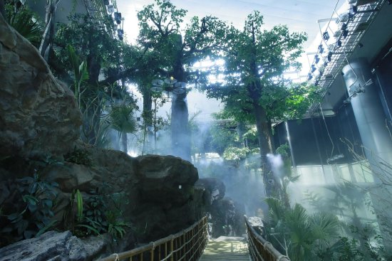 “雨林秘境”展区