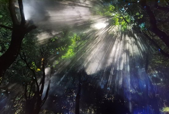 延中绿地内的丁达尔光影艺术装置。 陈玺撼摄