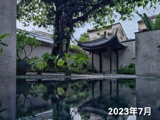 百年萍婆树庭院与半亭更新前后