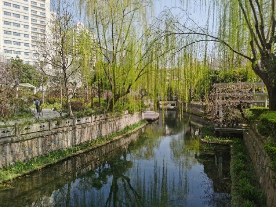 曹杨环浜水质清澈，倒映出环境优美的滨水空间。 陈玺撼摄