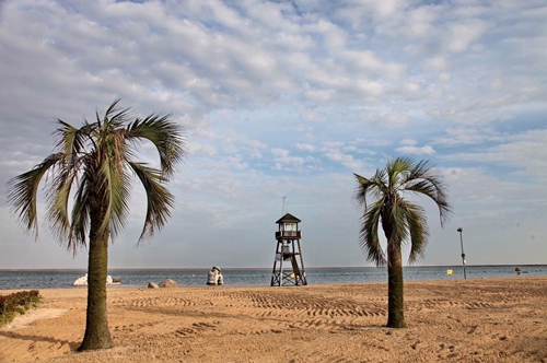 金山城市沙滩6月1日起开放