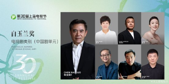 本届白玉兰奖电视剧类别(中国剧单元)评委