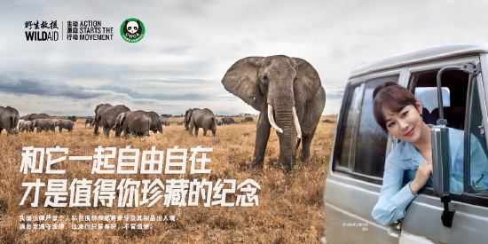 《让旅行只留美好不留遗憾》系列公益海报