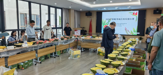 西瓜擂台赛现场