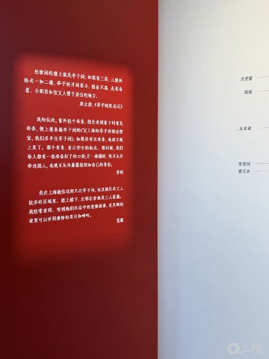 施晨露 摄