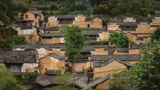 杨家堂村