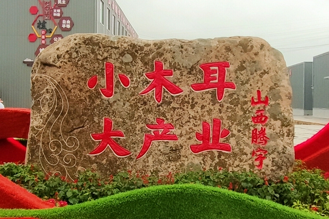中国黑木耳产业高质量发展大会在吕梁中阳召开 - Vimarsana News