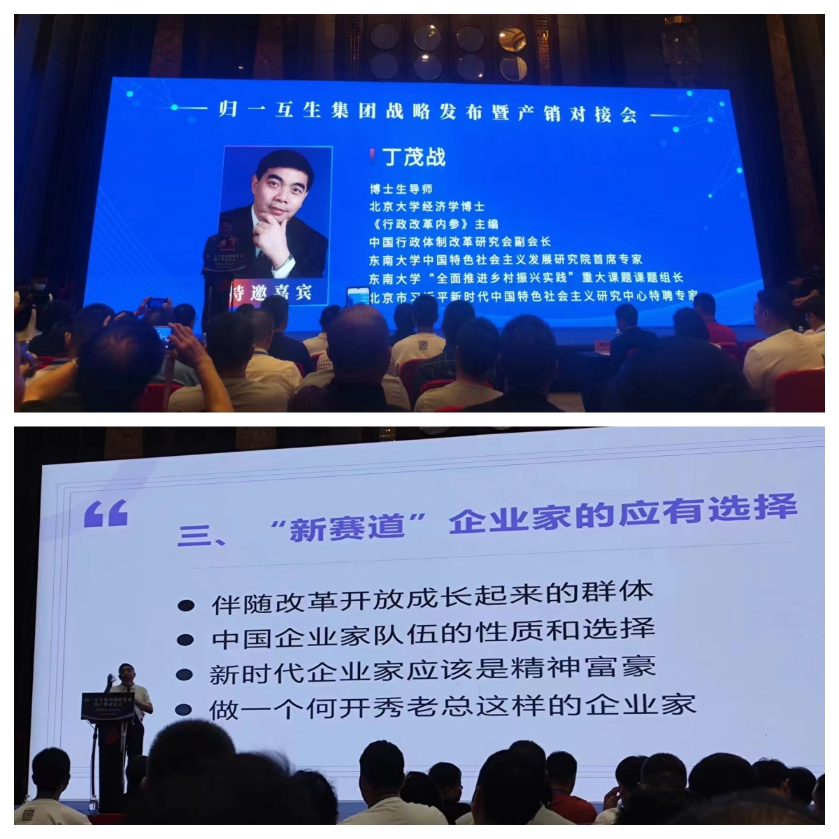 丁茂战演讲“乡村振兴的重点工作和企业家选择”