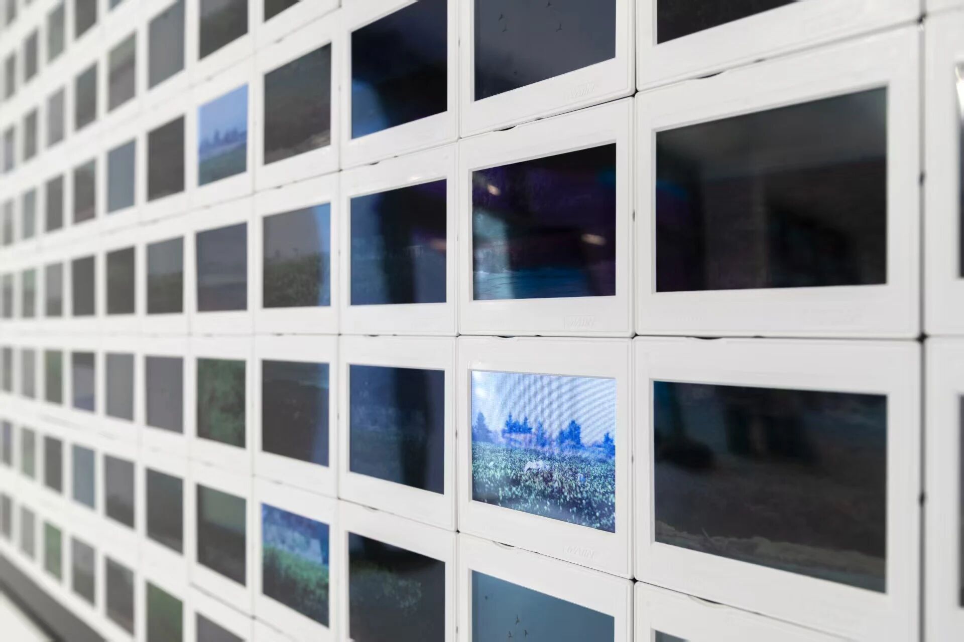 　　梁祖贤&amp；李锐奋（澳门），数雀仔雀仔飞，202595×167 cm， 30&#39；19&#39；&#39；，综合媒介装置、胶片、动态影像、声音