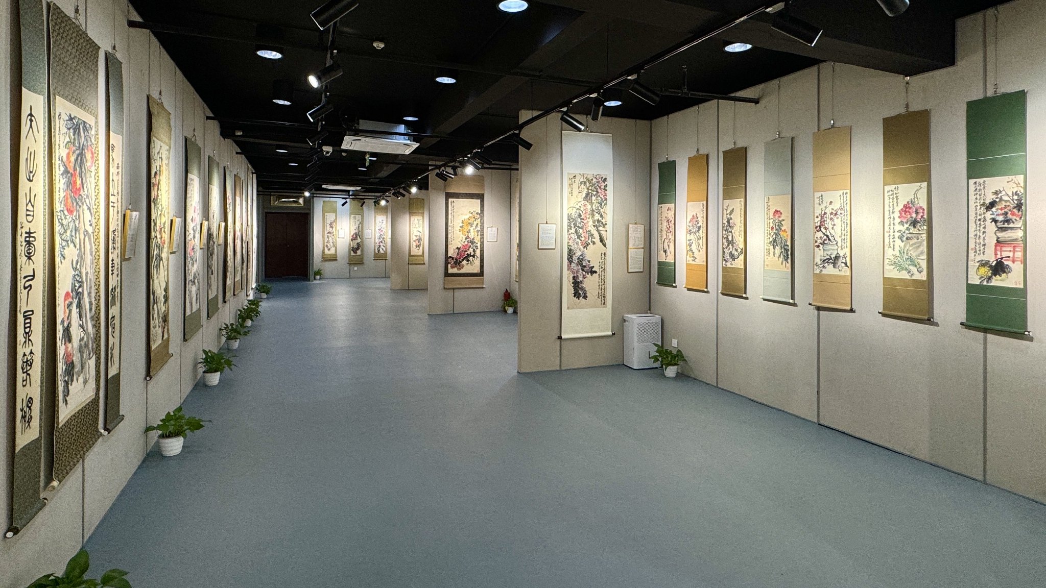 《吴昌硕绘画精品展》展厅