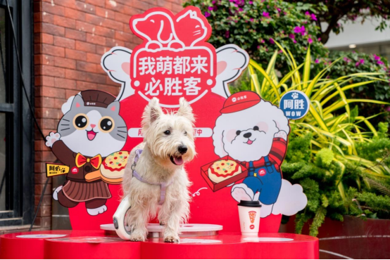 必胜客宠物友好主题餐厅门前设置的宠物友好座椅