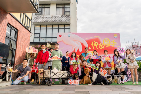 深圳必胜客在宠物友好主题餐厅举办流浪动物爱心领养&;义诊公益派对
