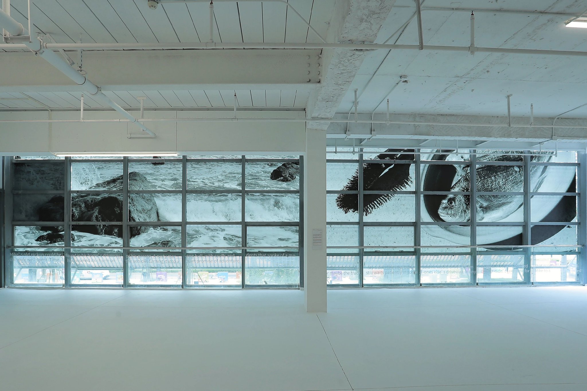 杨苒 （巴黎），我想打电话，却无人接听，2018-至今270×738 cm，艺术微喷