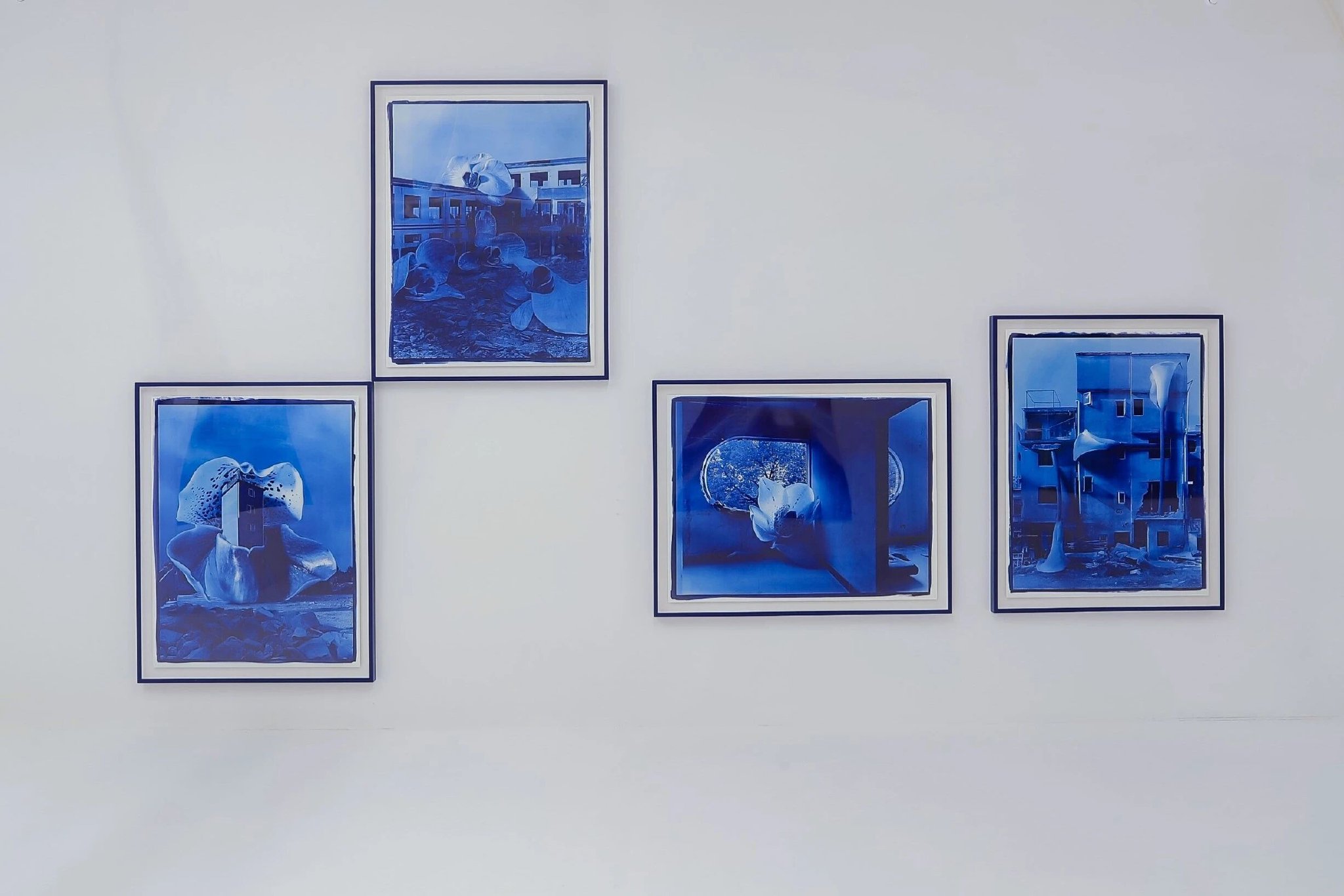 胡为一 （上海），蓝图系列，2021120×90 cm × 4，蓝晒法、水彩纸、铝板、实木框、亚克力