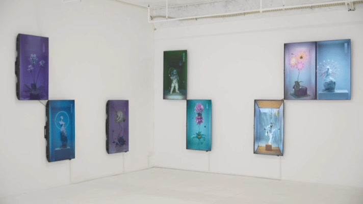 田晓磊 （北京），屏幕福尔马林计划系列，2019-2024尺寸可变，循环视频