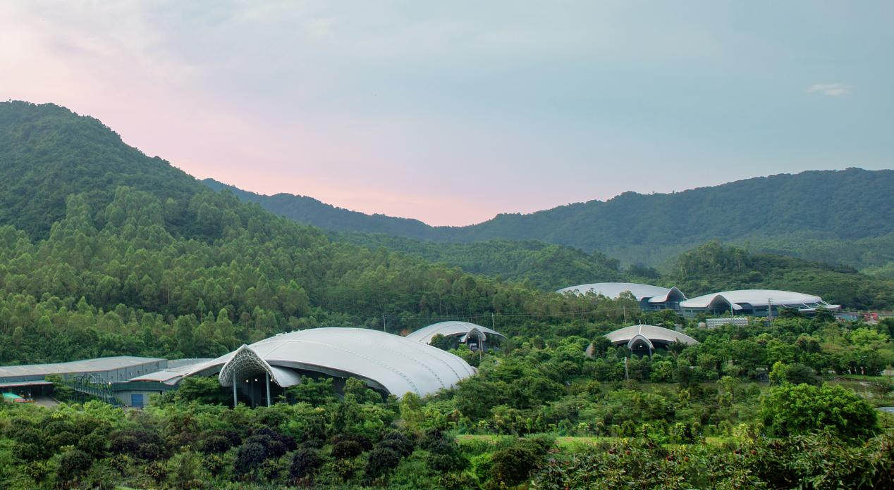 百岁山生产基地实拍图