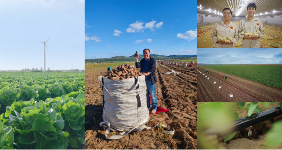 农情美味包含麦当劳中国对于农场好食材、农人超用心和农业深底蕴的关注