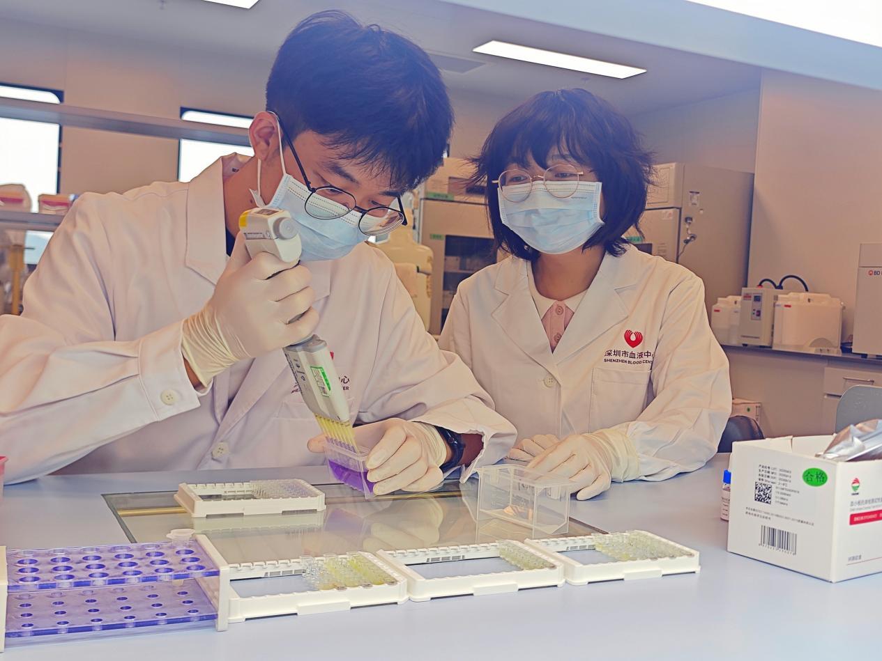  工作人员正在做配型实验