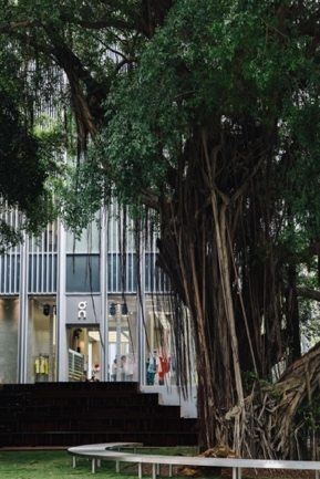 焕新后的古树公园