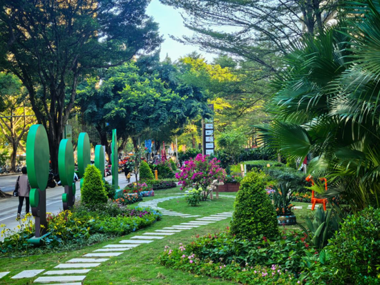 开辟方寸诗意空间，宝安12个共建花园亮相