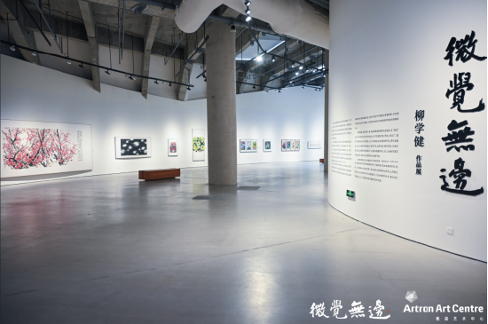 微觉无边——柳学健作品展