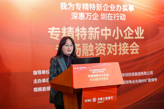 深圳市中小企业服务局 王琼露 现场宣讲