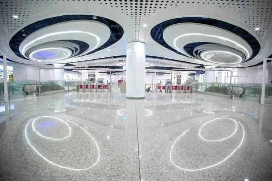 图 4 “湾区之舞”——大运枢纽