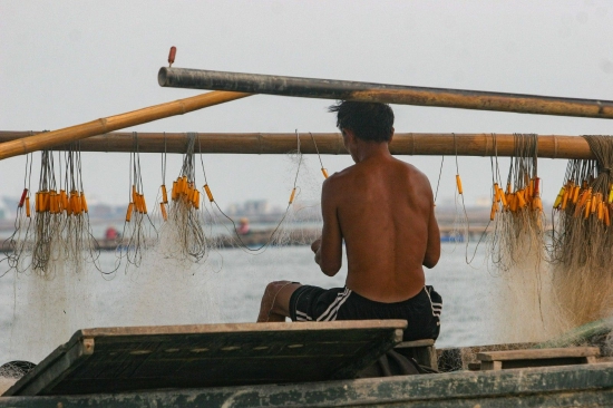 深圳湾，2005年