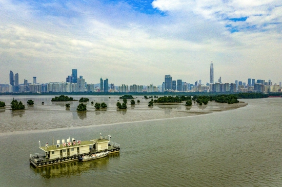 深圳河入海口，2017年11月