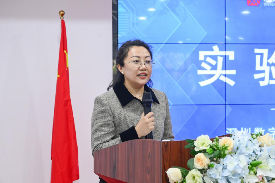  深圳文化产权交易所数字文化产业创新研究院院长吕文静