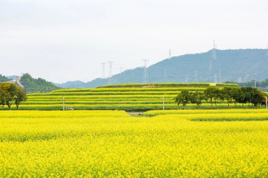 光明区耕地